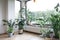 Home gardening. Cozy tropical home garden. Modern interior with indoor plants, monstera, palm trees. Urban jungle