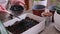 Home Gardening and plant transplantation - Woman pouring wood charcoal into box with soil substrate box