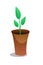 Home green plant flat vector illustration. Indoor flower in brown pot