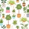 Home green potted plants vector seamless pattern. Cartoon illustration of home plants isolated on white for textile