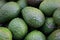 Home-grown hass avocados background