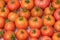 Home grown organic and tasty tomatoes texture close up - Benefits of tomatoes concept