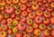 Home grown organic and tasty tomatoes texture close up - Benefits of tomatoes concept