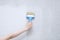 Home Improvement. Caucasian woman hand priming white wall with a brush