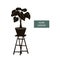 Home indoor houseplant philodendron in a pot on decorative ladder silhouette