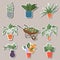Home indoor plants and flowers in pots, stickers. Gardening, garden cart with beautiful flowers, different flowers and plants in