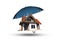 Home Insurance Coverage