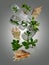 A home interior flying mini garden made of  branches of Crassula Ovata