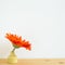 Home interior. Orange gerbera flower in vase on wooden table