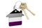 Home keychain with asexual flag. 3D rendering