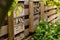 Home made bee hotel, in Dutch garden, mounted on a typical wooden garden fence. Bee hotels are places for solitary bees to make