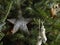 Home made birch bark Christmas ornament in an evergreen tree