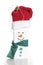 Home made Snowman Craft on a White Background