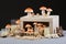 home mushroom cultivation kit with detailed instructions