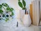 Home office desk with indoor plants such as a cactus and stationery on a white background, creating a relaxing work environment