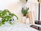 Home office desk with indoor plants such as a cactus and stationery on a white background, creating a relaxing work environment