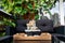 Home patio with black plastic garden furniture, small relaxing electrical zen table fountain on table and real grape vines.