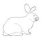 The home pet Californian rabbit. vector illustration