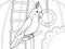 Home pet, parrot in a cage, enclosure interior. Children coloring book.