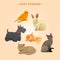 Home Pets Set: Carrot, Dog, Rabbit, Fish and Cats