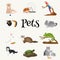 Home pets set, cat dog parrot goldfish hamster, domesticated animals