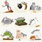 Home pets set, cat dog parrot goldfish hamster, domesticated animals