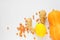 Home pharmacy: pumpkin, lemon, ginger, sea buckthorn on a white background. Place for text. For the treatment of colds, raising