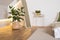 Home plant ficus in straw bag. Minimal modern interior design. Stylish green plant in Wicker pot near big mirrow. Modern