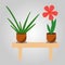 Home plant in flowerpot on brown table.Spring colorful flowers in pots. A creative vector illustration with white background