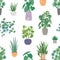 Home plants in ceramic pots vector seamless pattern. Domestic flowers colorful texture. Exotic houseplants in flowerpots
