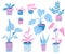 Home plants collection, doodle illustrations of popular indoor potted plants. Different pots and leaves. Cozy interior