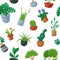 Home plants in flowerpots vector potted flowery houseplants for interior decoration botanic collection floral cactuses