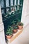 Home plants and herbs in pots on old house veranda, vintage door