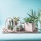 Home plants oasis. Green house plants in pots, glass terrarium and jars on table at blue background. Various succulent and cactus