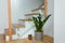 Home potted plant and green flowers in pots downstairs in modern two-storied apartment interior. Clean organized room,