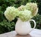 Home related, a vase with fresh Hortensia flowers, Netherlands