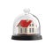Home safety. House under glass bell jar