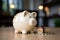 Home savings white piggy bank signifies money saved for a house