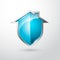 Home security silver and blue shield
