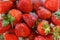 Home strawberry background in bowl with water. Summer vitamins. Soaking fruits