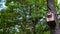 home on tree of gray squirrel on green grass of nature park