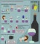 Home winemaking. Wine from grapes. Infographics.