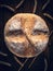 Homebaked bread. Top view of a loaf of round peasant bread and spikelets of wheat on a wooden background. Homemade baking