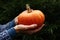 Homegrown orange pumpkin in hands, dark colors