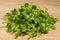 Homegrown sunflower micro green  sprouts on wooden table close up. Concept of health and growing