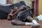 A homeless African American man sleeping on the street