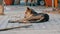 Homeless brown-black dog lies on street in Thailand