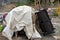 A homeless camp stands adjacent to trash and debris near 8100 Haskell Ave