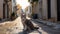 A homeless cat sits in the middle of an narrow street among houses. Generative AI