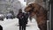 Homeless child talking to man in dinosaur mascot costume at sidewalk